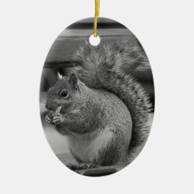 Squirrel Ceramic Tree Decoration (Front)