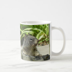 Squirrel Chilling in the Shade Mug