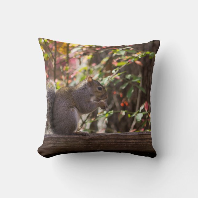 Squirrel Chow Time Cushion (Front)
