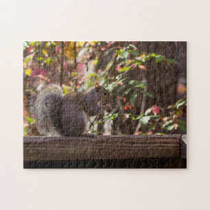 Squirrel Chow Time Jigsaw Puzzle