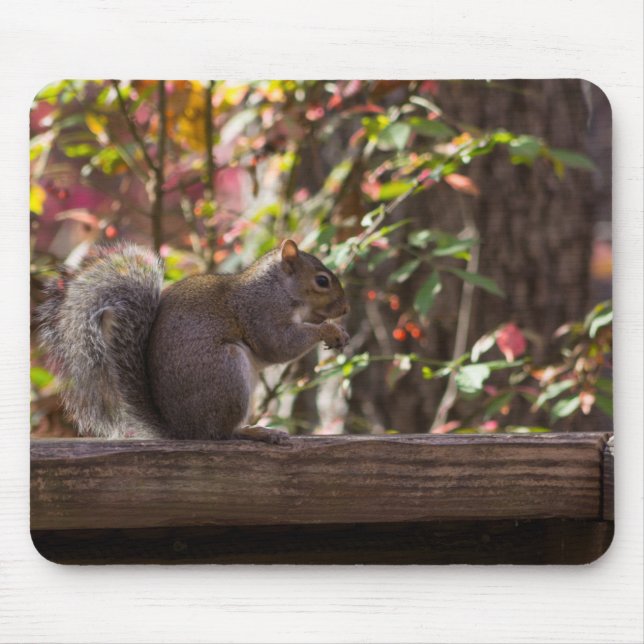 Squirrel Chow Time Mouse Pad (Front)
