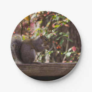 Squirrel Chow Time Paper Plate