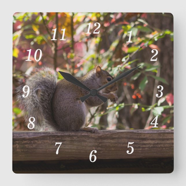 Squirrel Chow Time Wall Clock (Front)
