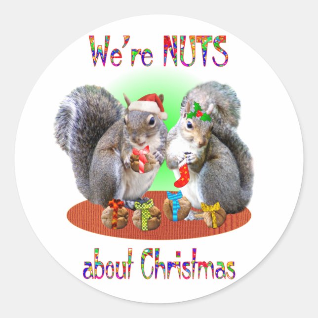 Squirrel Christmas Nuts Classic Round Sticker (Front)