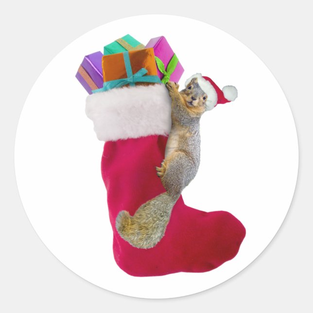 Squirrel Christmas Stocking Sticker (Front)
