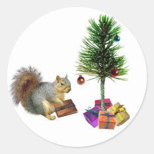 Squirrel Christmas Tree Classic Round Sticker