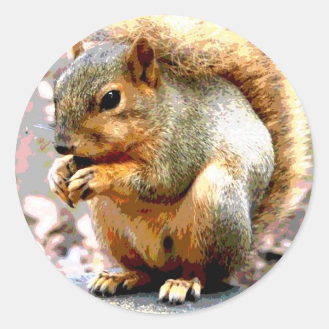 Squirrel Classic Round Sticker (Front)