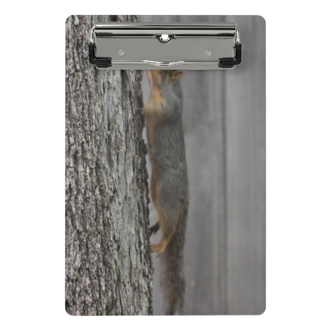 Squirrel Clipboard (Front)
