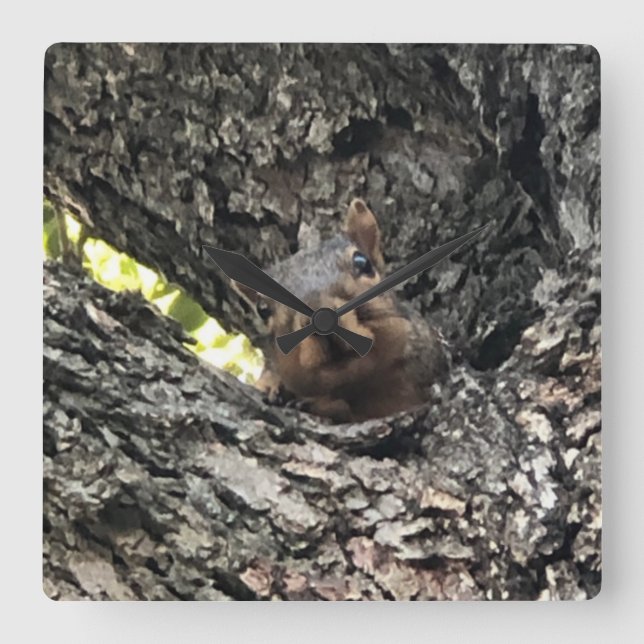 Squirrel Clock (Front)