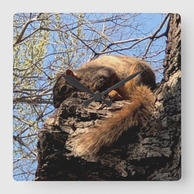 Squirrel Clock (Front)