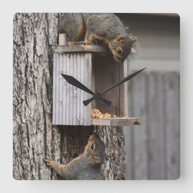 Squirrel Clock (Front)
