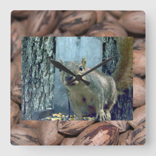 Squirrel Clock
