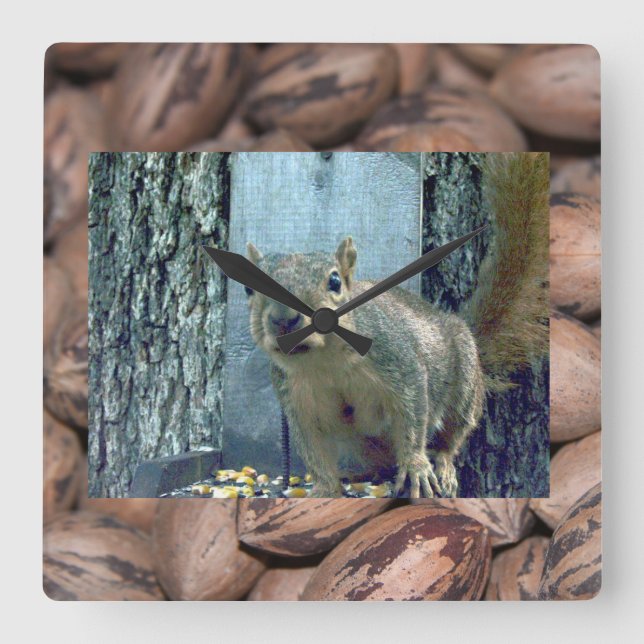 Squirrel Clock (Front)