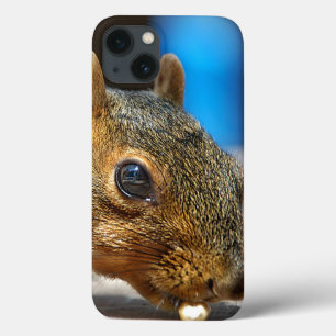 Squirrel Closeup Eating iPhone 13 Case