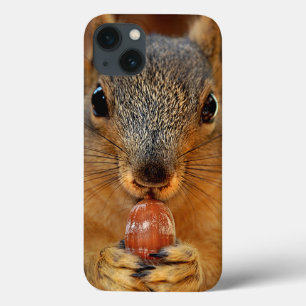 Squirrel Closeup with Nut 2 iPhone 13 Case