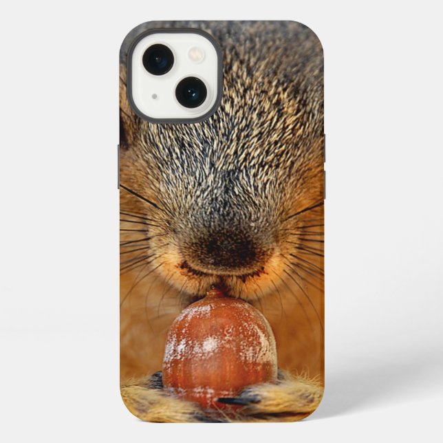 Squirrel Closeup with Nut 2 iPhone Case (Back)