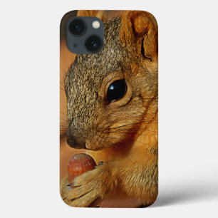 Squirrel Closeup with Nut iPhone 13 Case