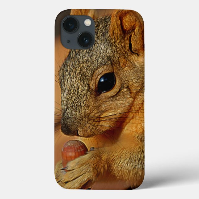 Squirrel Closeup with Nut Case-Mate iPhone Case (Back)