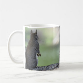 Squirrel Coffee Mug