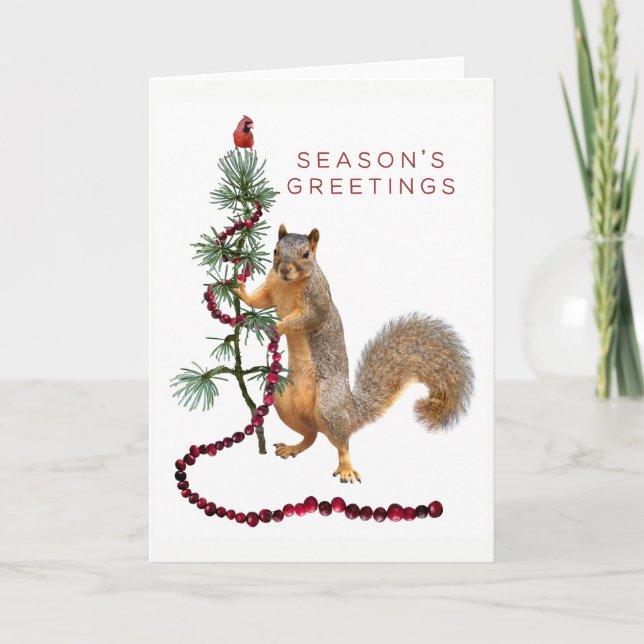 Squirrel Cranberry Garland Season's Greeting Card (Front)
