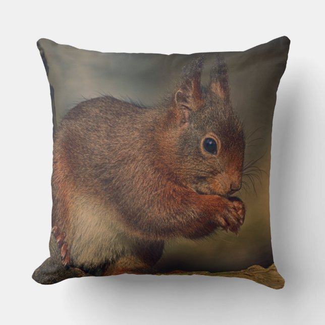 Squirrel Cushion (Front)