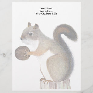 Squirrel Custom Letterhead