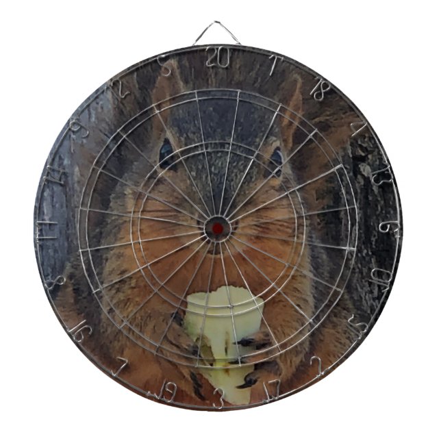 Squirrel Dartboard (Front)