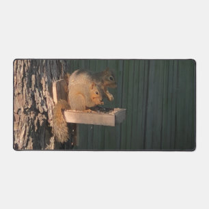 Squirrel desk mat