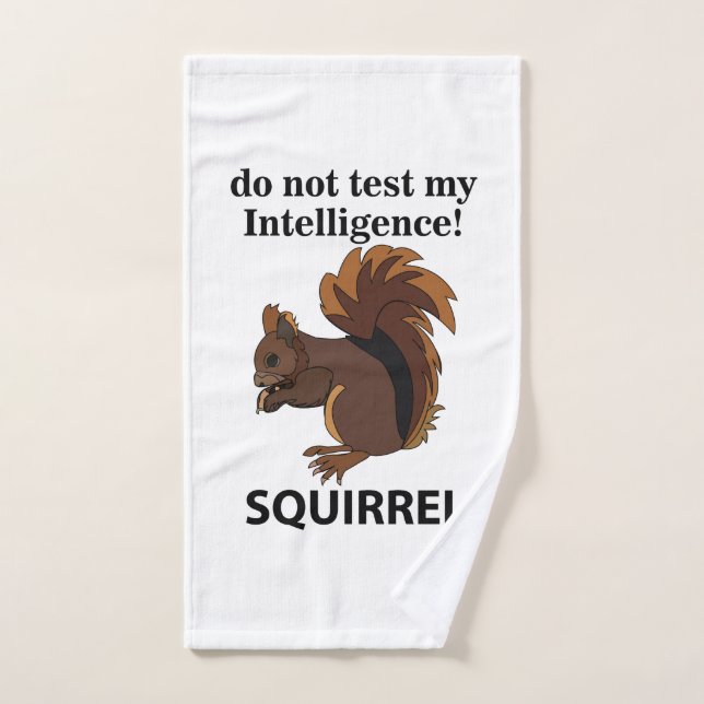 Squirrel Do Not Test My Intelligence Squirrel Hand Towel (Hand Towel)