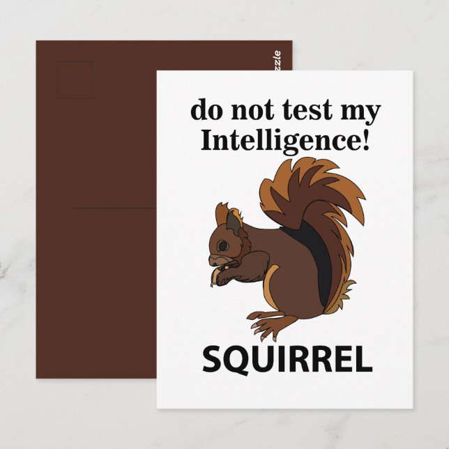 Squirrel Do Not Test My Intelligence Squirrel Postcard (Front/Back)