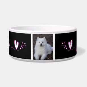 Squirrel, dog bowl, cat, c animal