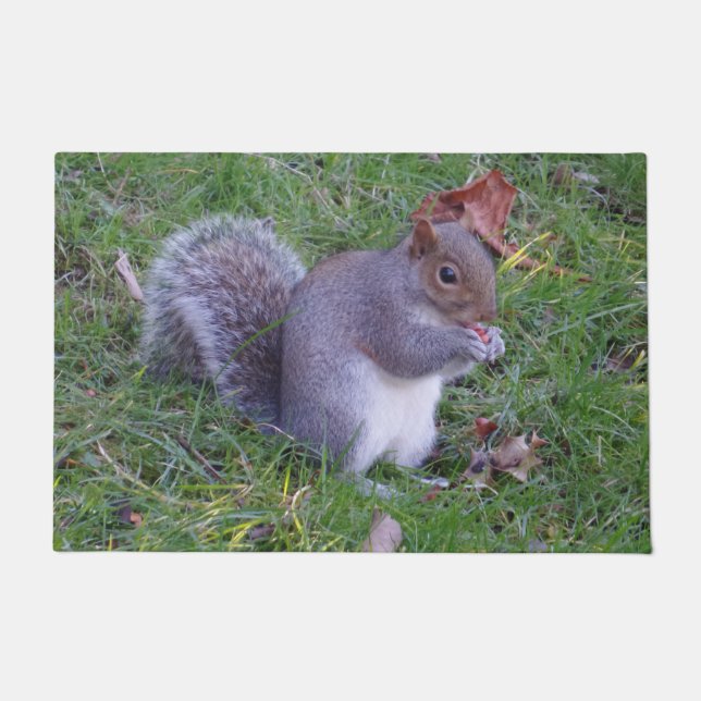 Squirrel Door Mat (Front)