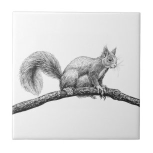 Squirrel drawing ceramic tile
