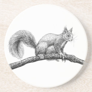 Squirrel drawing coaster