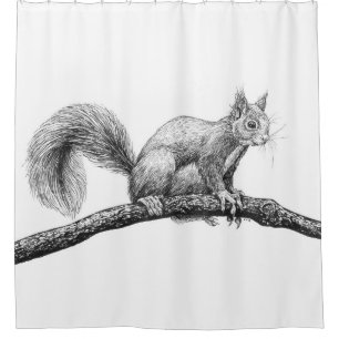 Squirrel drawing shower curtain