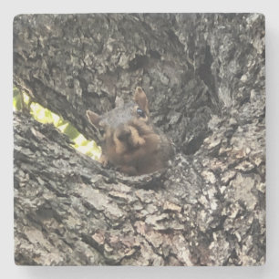 Squirrel Drink Coaster