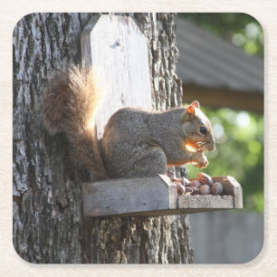 Squirrel Drink Coaster