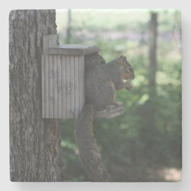 Squirrel Drink Coaster (Front)