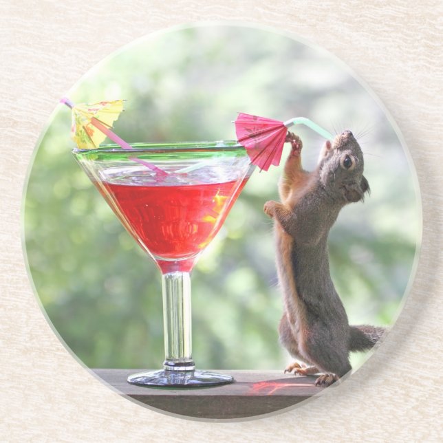 Squirrel Drinking a Cocktail at Happy Hour Coaster (Front)