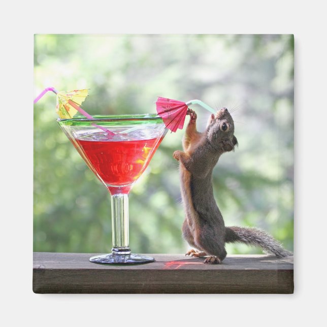 Squirrel Drinking a Cocktail at Happy Hour Magnet (Front)