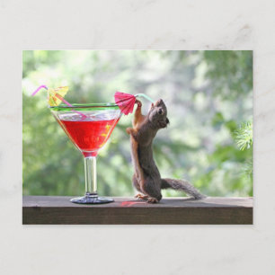 Squirrel Drinking a Cocktail at Happy Hour Postcard