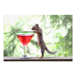Squirrel Drinking a Cocktail Photo Print