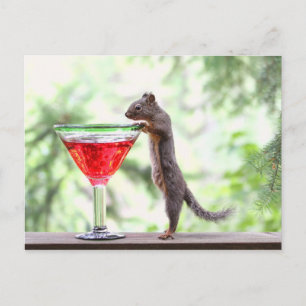 Squirrel Drinking a Cocktail Postcard