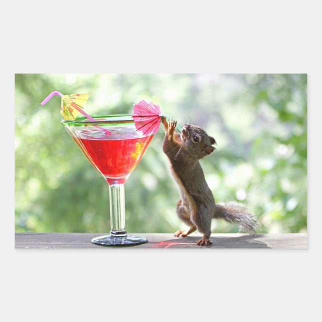 Squirrel Drinking Cocktail Rectangular Sticker (Front)