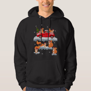 Squirrel Driving Christmas Tree Red Truck Squirrel Hoodie
