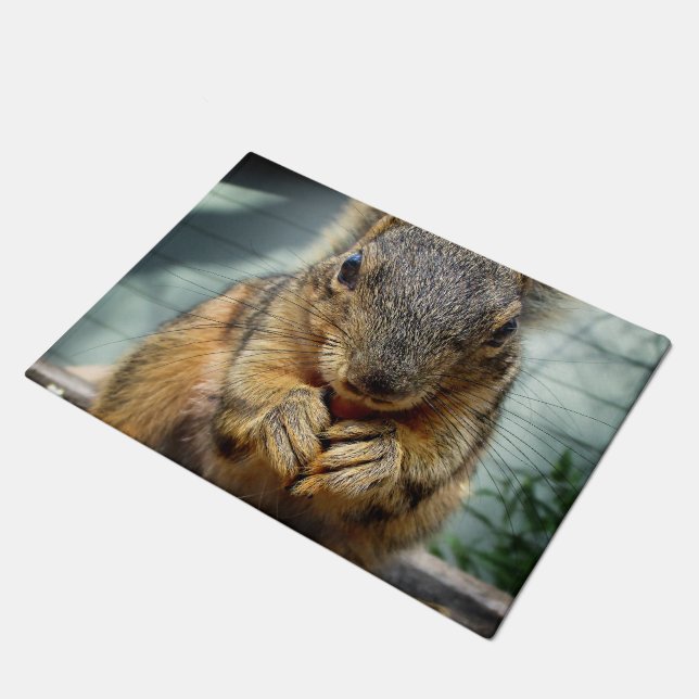 Squirrel Eating 1 Doormat (Angled)