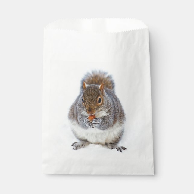 Squirrel Eating a Nut Cute Favour Bag (Front)