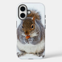 Squirrel Eating a Nut Cute Winter Photo
