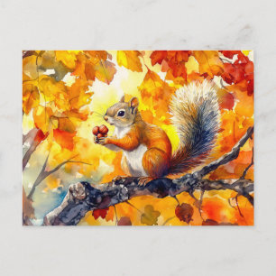 Squirrel eating a nut in a colourful autumn tree w postcard