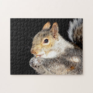 Squirrel eating a nut jigsaw puzzle